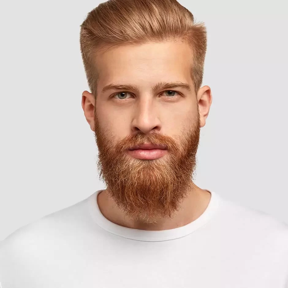 علی دارستانی